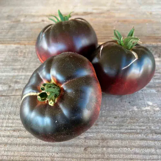 ferme-de-sainte-marthe-tomate-black-beauty-graines-bio-sachet image 1