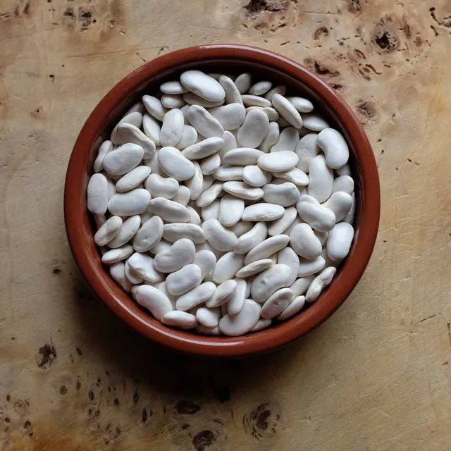 la-bo-te-graines-graines-l-gumes-haricot-ma-s-tarbais-bio image 1