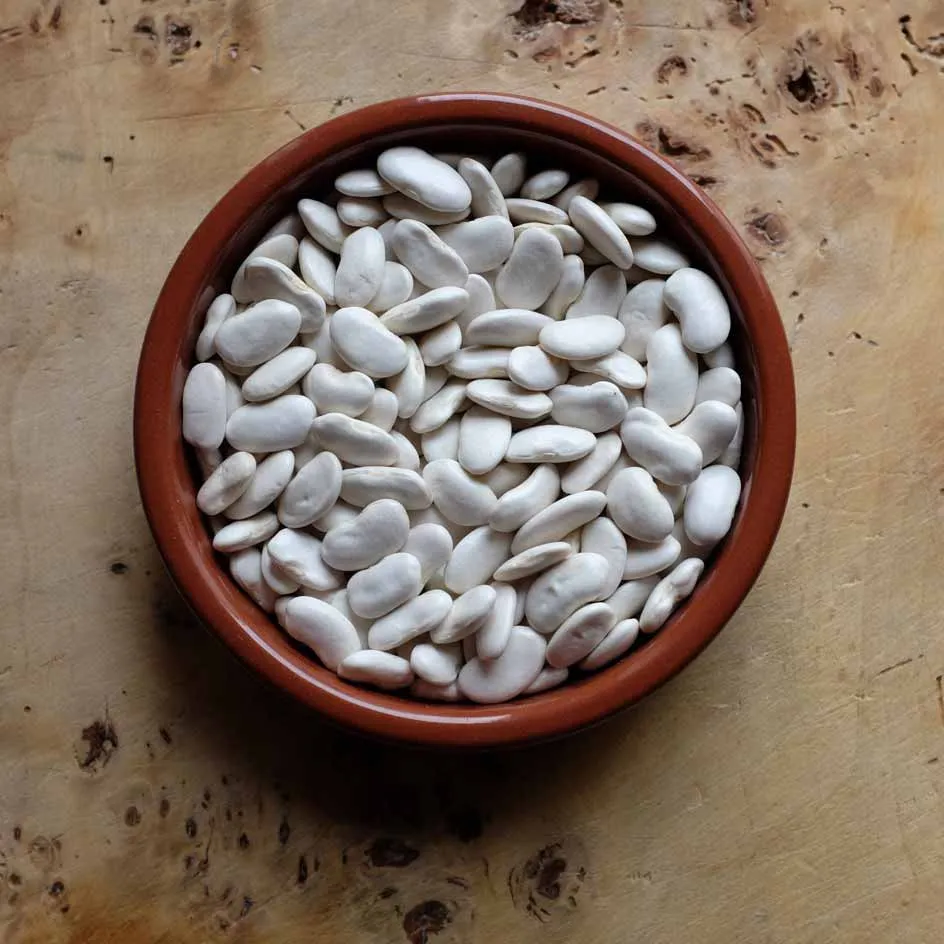 la-bo-te-graines-graines-l-gumes-haricot-ma-s-tarbais-bio image 1