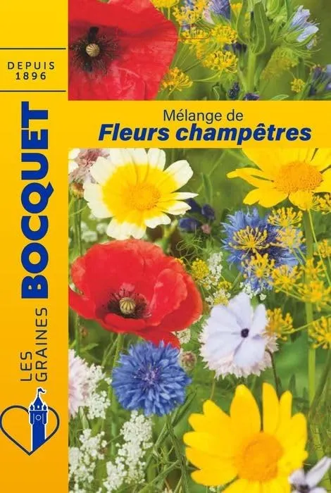 graines-bocquet-m-lange-fleurs-champ-tres-graines-15-g-facile image 1