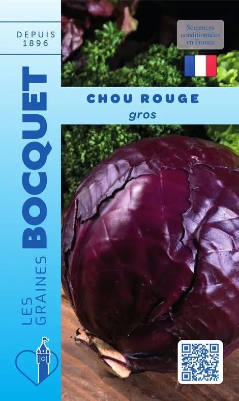 graines-bocquet-chou-rouge-gros-graines-potag-res-3-g-h-tif image 1