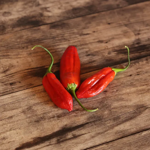 ferme-de-sainte-marthe-piment-aji-delight-graines-bio-doux-non-piquant image 1