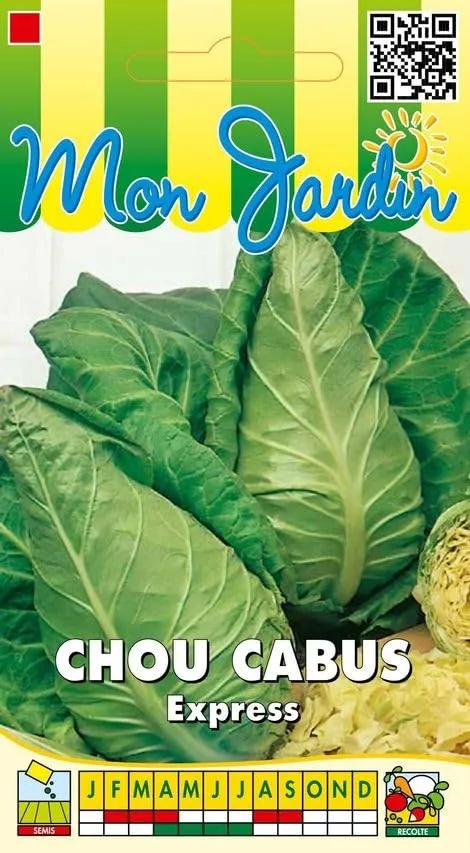 graines-bocquet-chou-cabus-express-pointu-graines-3-g-pr-coce image 1