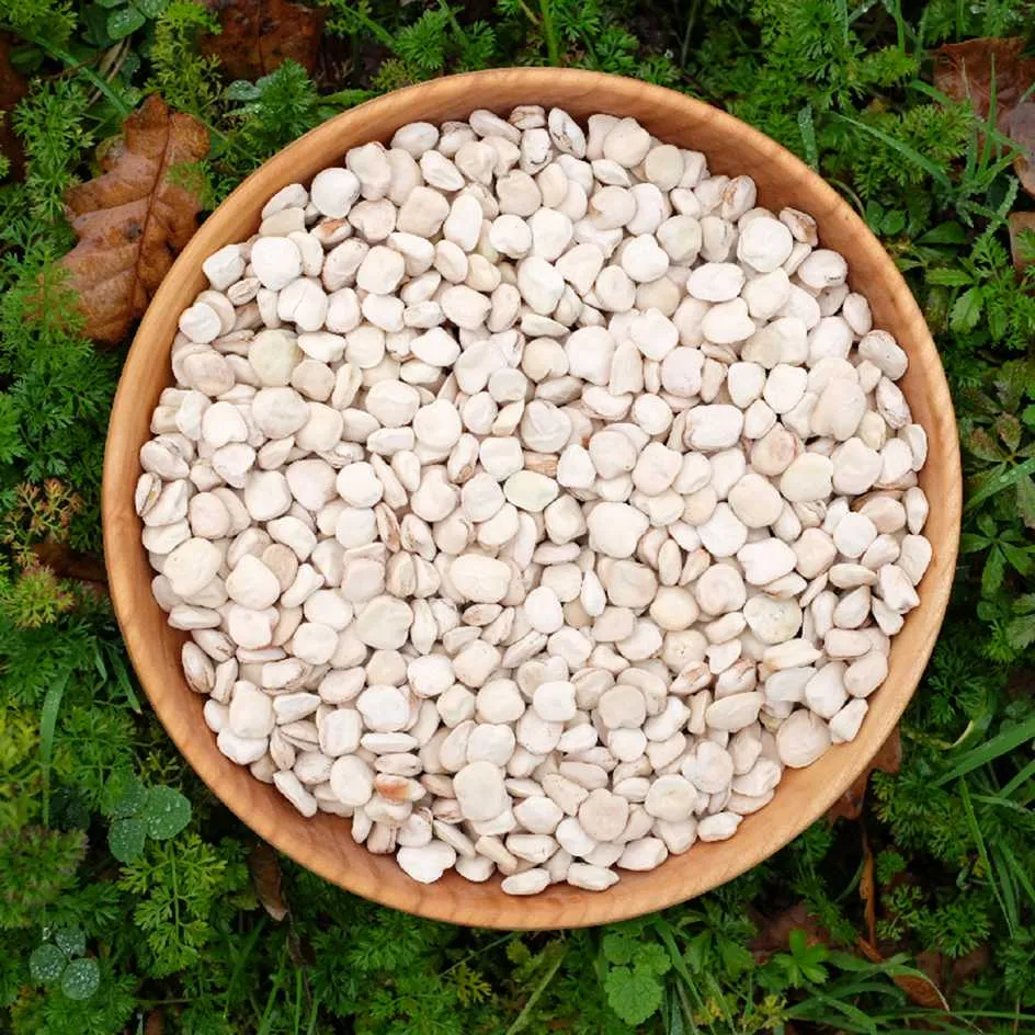 la-bo-te-graines-gesse-pois-carr-l-gumineuse-bio image 1