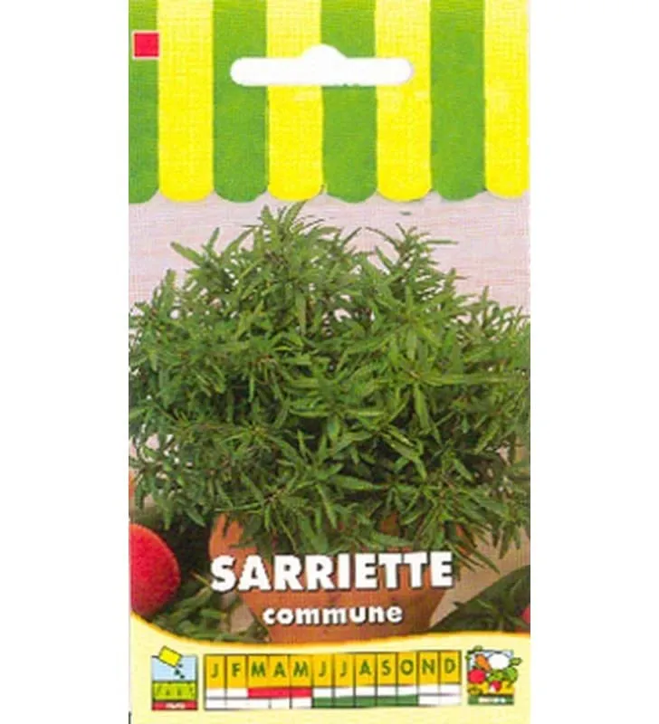 graines-bocquet-sarriette-commune-graines-0-5-g-culture-en-pot image 1
