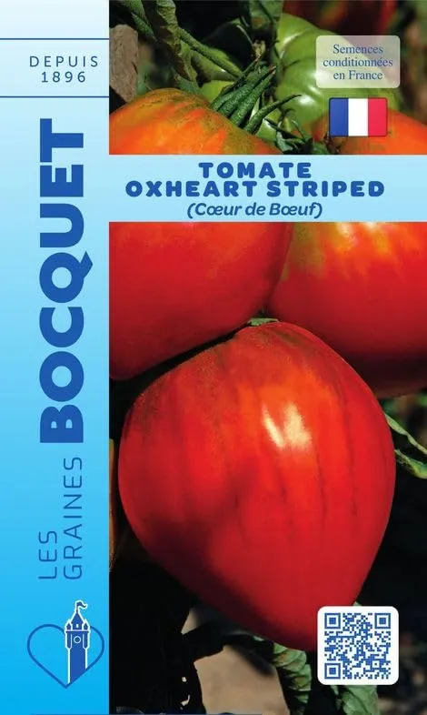 graines-bocquet-tomate-c-ur-de-b-uf-oxheart-graines-0-5-g image 1