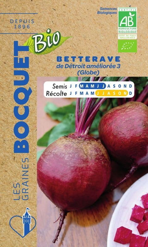 graines-bocquet-betterave-globe-de-d-troit-bio-5-g-racine image 1