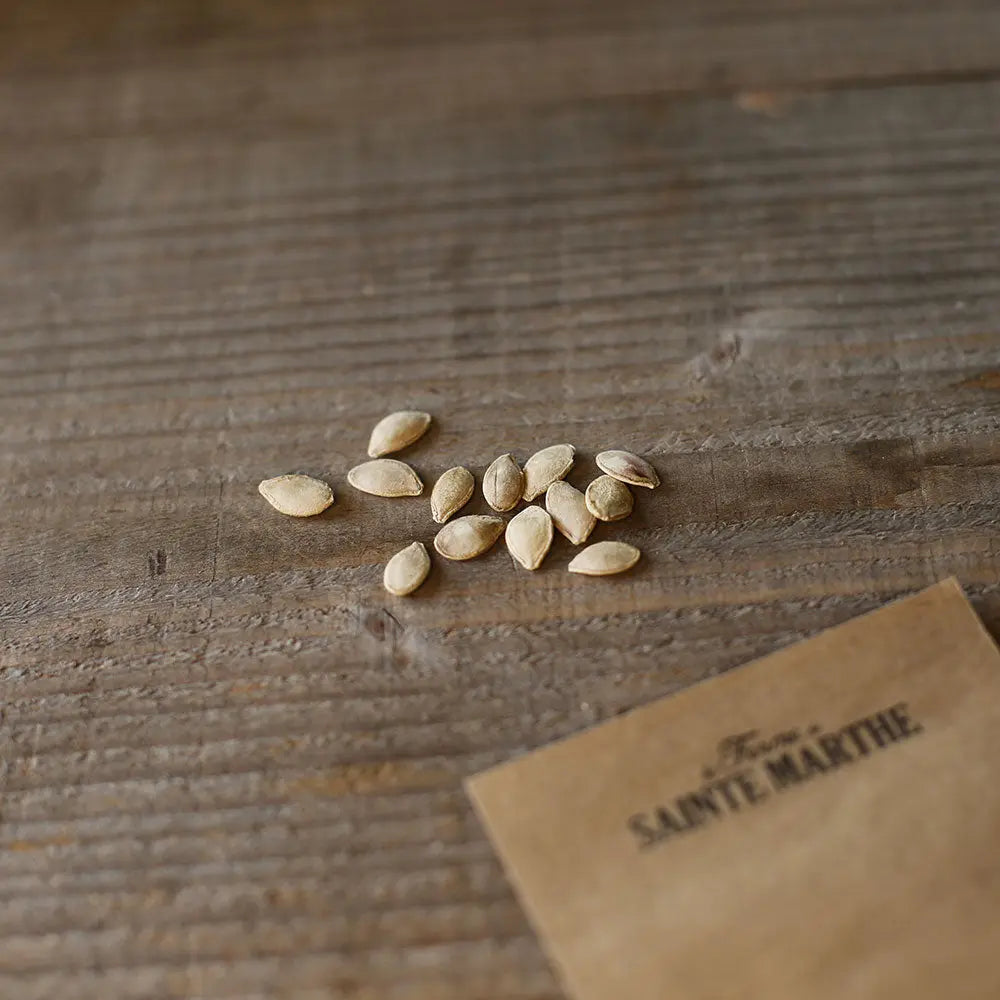 ferme-de-sainte-marthe-cou-tors-graines-courge-bio image 2