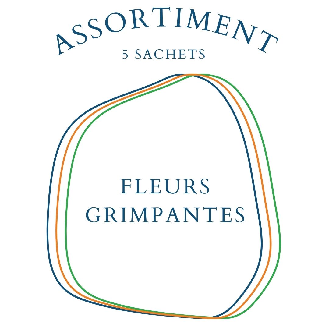 la-bo-te-graines-assortiment-fleurs-grimpantes-5-sachets-bio image 1