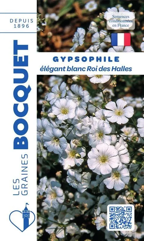 graines-bocquet-gypsophile-l-gant-blanc-graines-fleurs-3-g-annuelle image 1