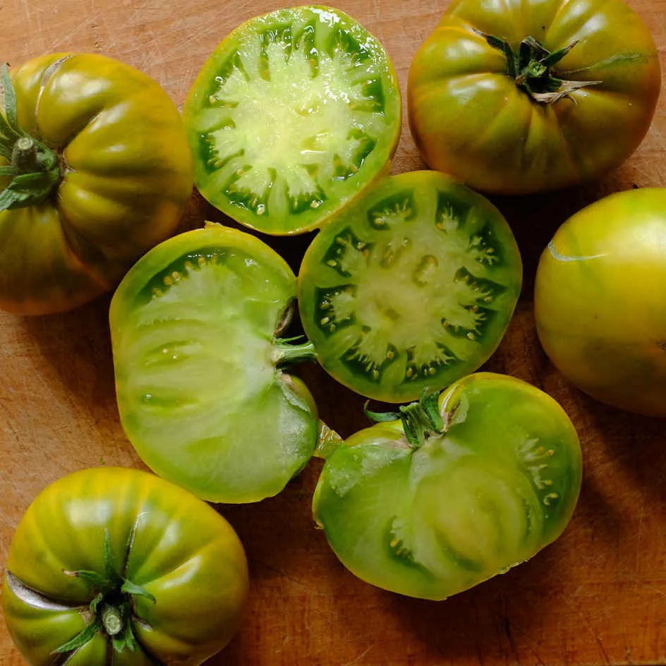 la-bo-te-graines-tomate-evergreen-graines-l-gumes-bio-verte image 1