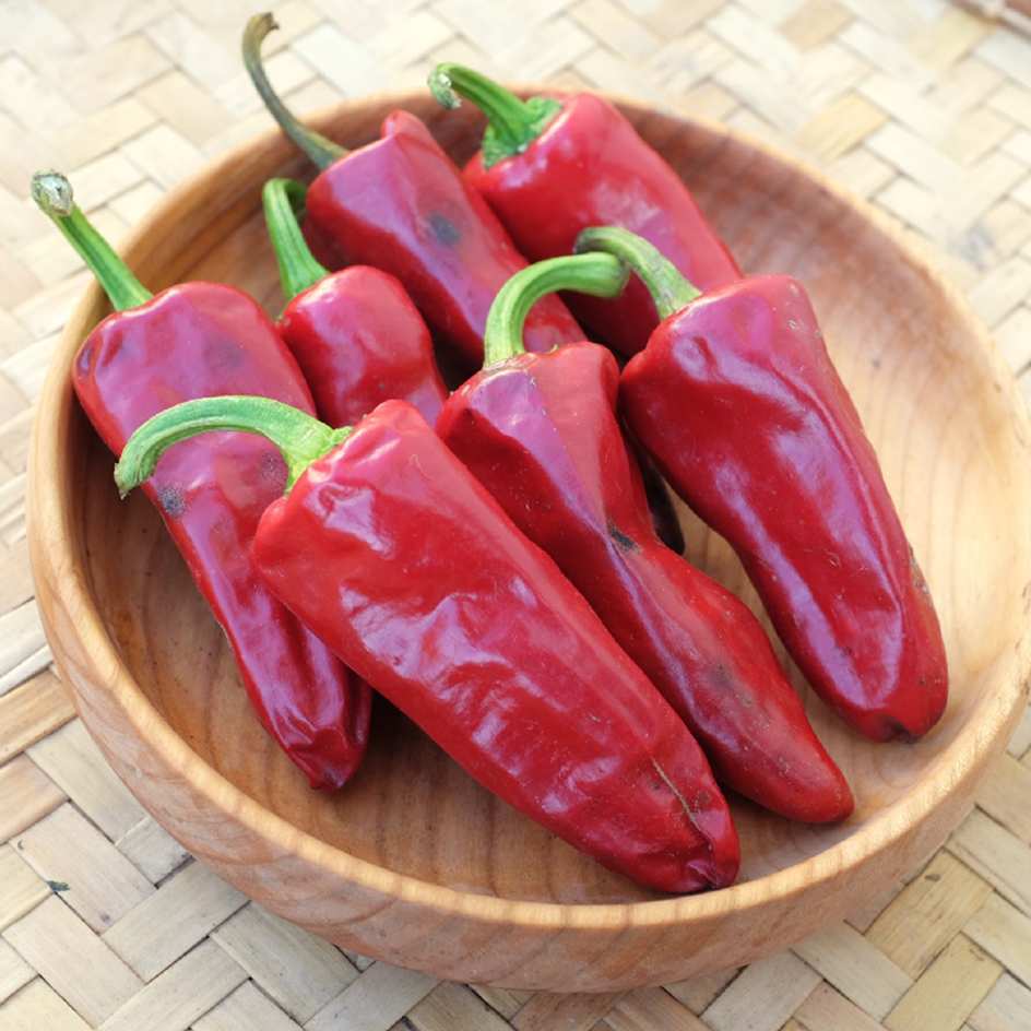 la-bo-te-graines-gorria-graines-piment-espelette-bio image 1