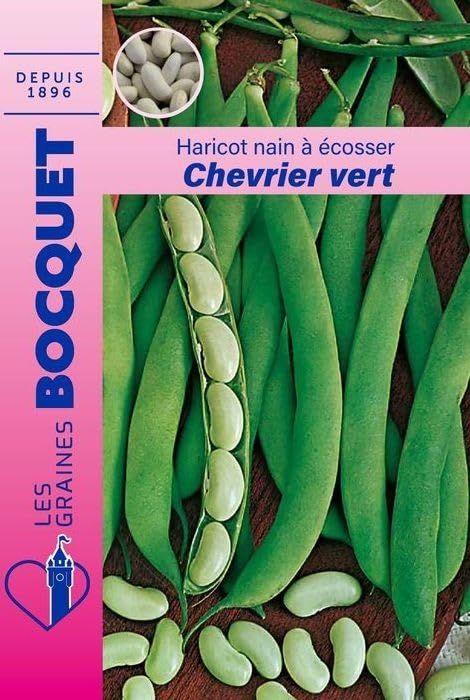 graines-bocquet-haricot-flageolet-chevrier-vert-graines-115-g image 1