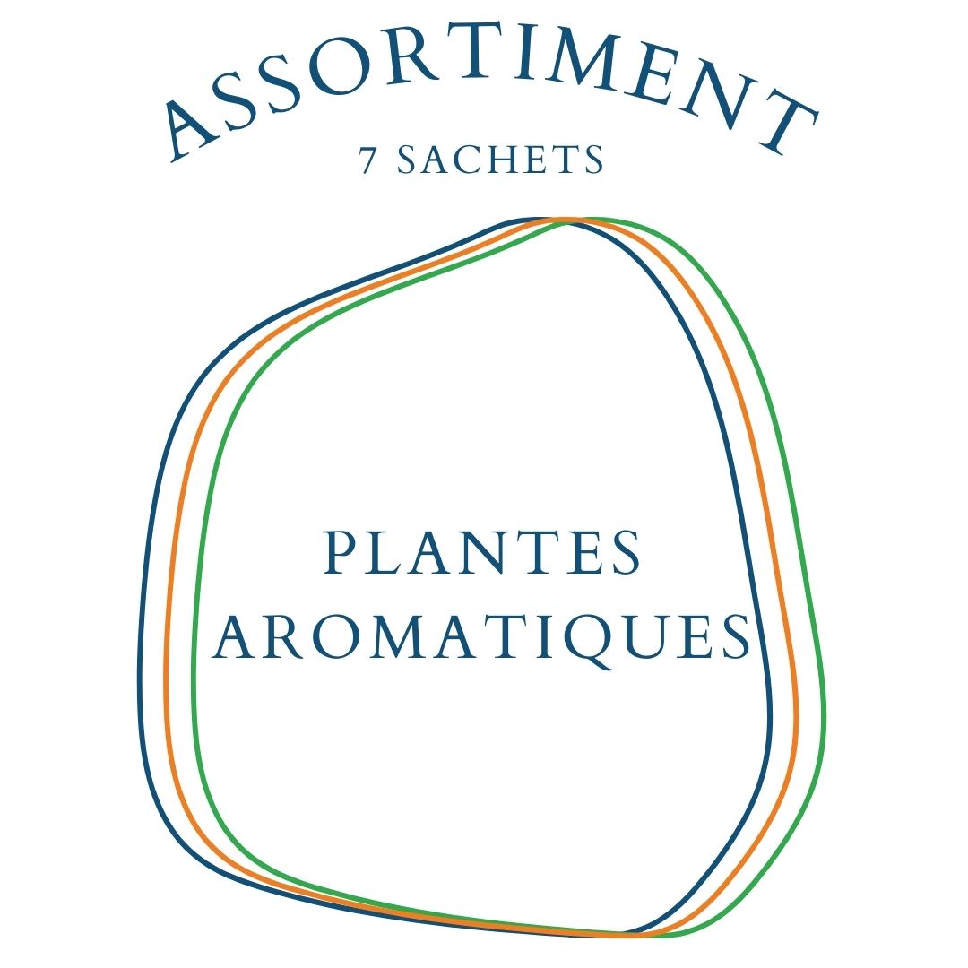 la-bo-te-graines-assortiment-plantes-aromatiques-graines-bio-7-sachets image 1