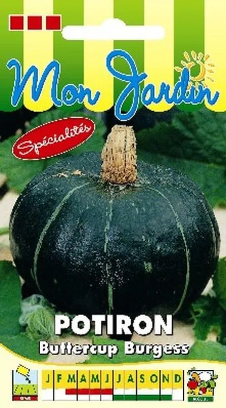 graines-bocquet-potiron-buttercup-burgess-graines-potag-res-5-g image 1
