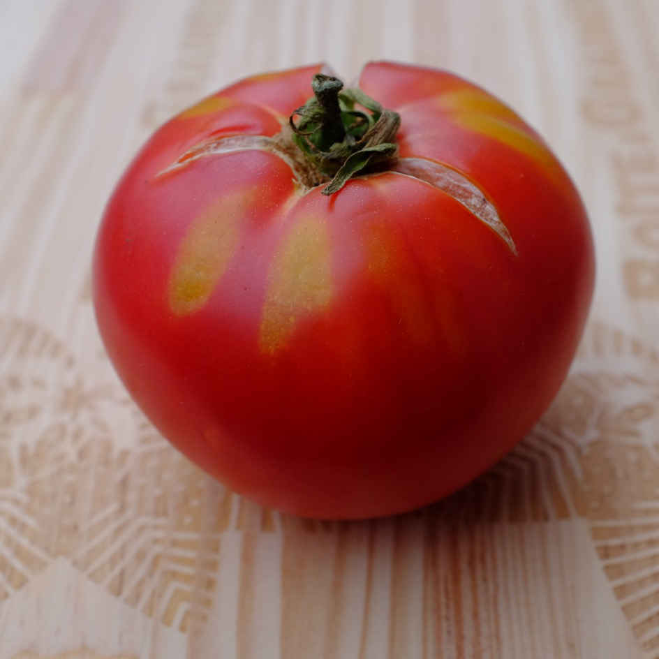 la-bo-te-graines-tomate-savignac-graines-l-gumes-bio-rose image 1