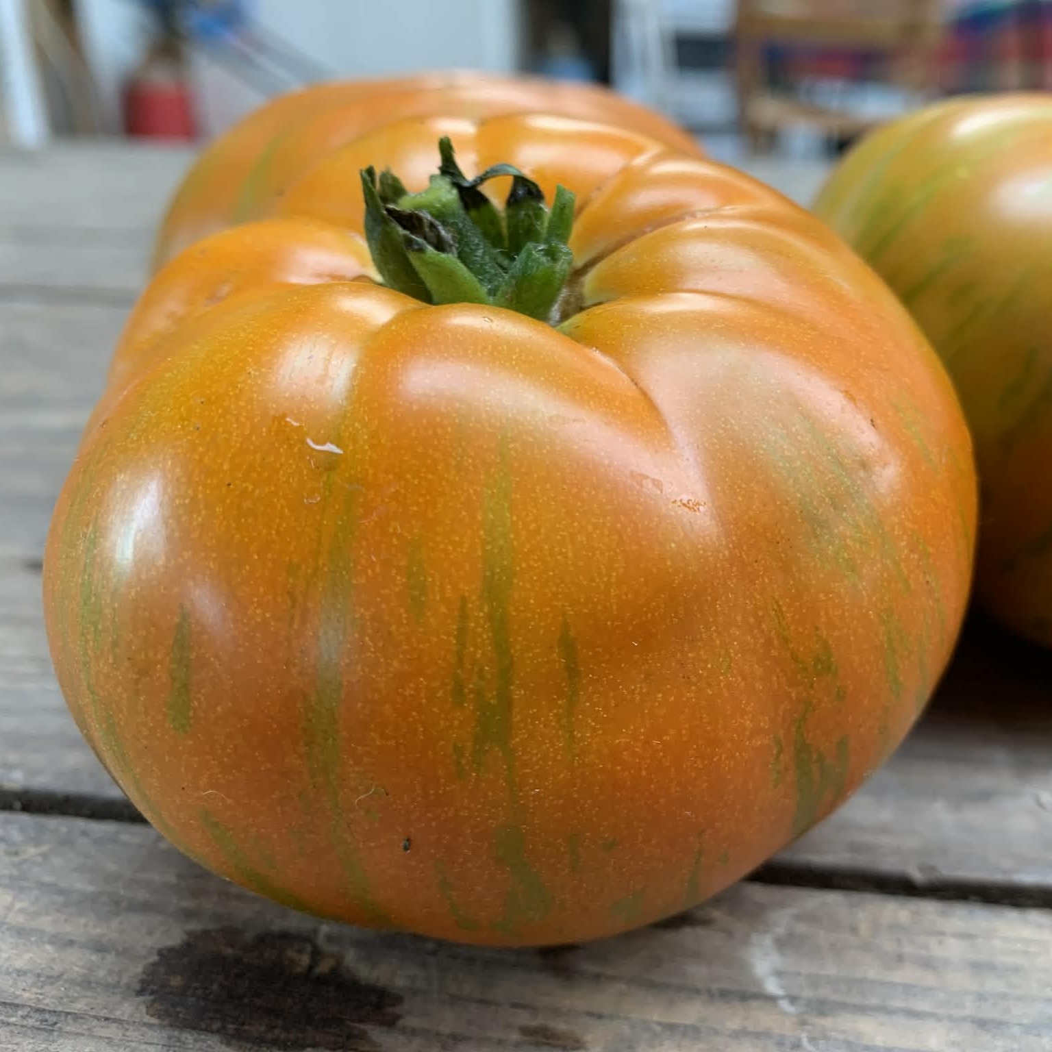 les-semences-de-l-ombelle-jipaulia-graines-de-tomate-bio image 3