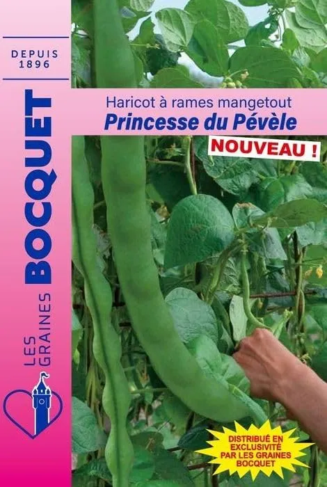 graines-bocquet-potag-res-haricot-rames-princesse-graines-90-g-mangetout image 1