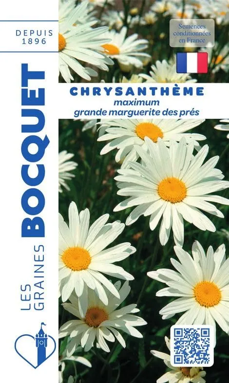bocquet-chrysanth-me-reine-des-pr-s-graines-fleurs-1-g image 1