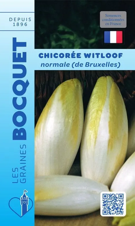graines-bocquet-chicor-e-witloof-normale-graines-potag-res-6-g-endive image 1