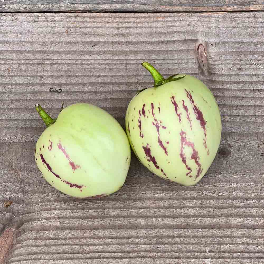 ferme-de-sainte-marthe-poire-melon-pepino-graines-potag-res image 1