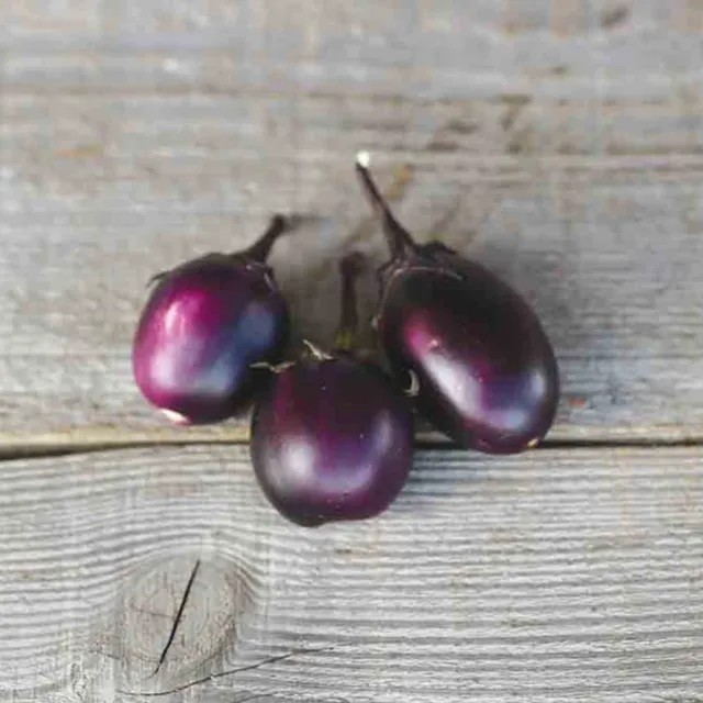 ferme-de-sainte-marthe-aubergine-bambino-graines-bio-sachet-pot image 1