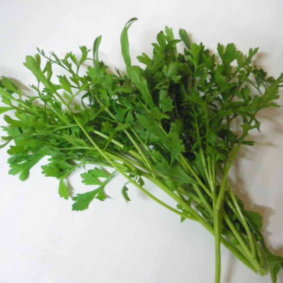 la-bo-te-graines-cresson-al-nois-bio-graines-potag-res-piquant image 1