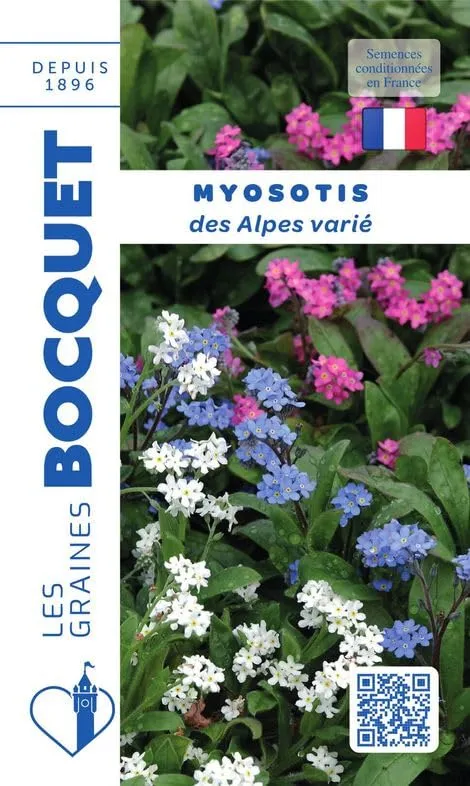 graines-bocquet-fleurs-myosotis-des-alpes-vari-graines-0-5-g-bleues image 1