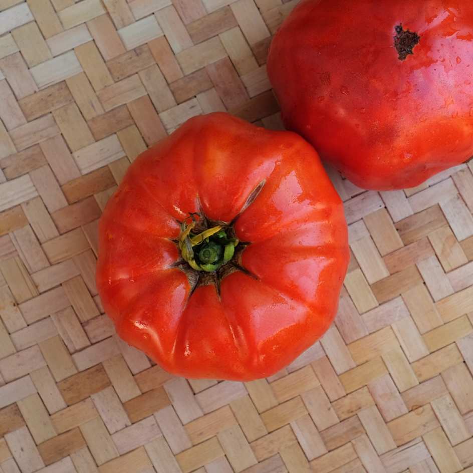 la-bo-te-graines-graines-l-gumes-tomate-russe-bio-charnue image 3