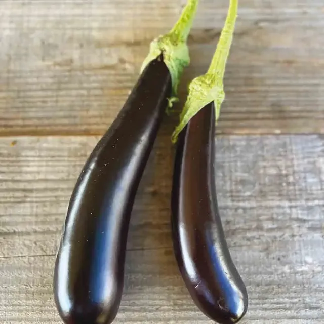 ferme-de-sainte-marthe-barbentane-graines-aubergine-bio-sachet image 1