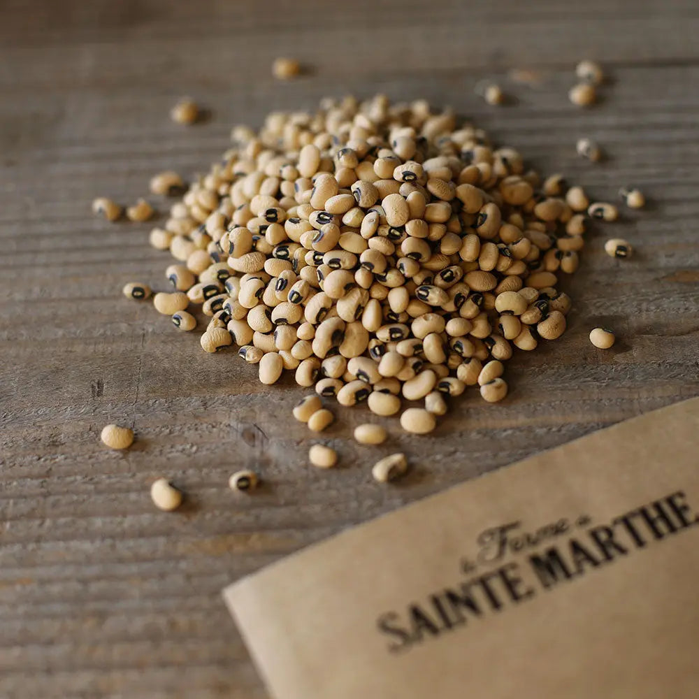 ferme-de-sainte-marthe-dolique-dell-occhio-haricot-graines-bio-nain image 2