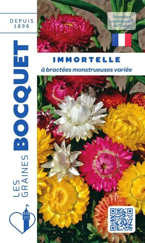 graines-bocquet-immortelle-bract-es-graines-fleurs-0-8-g image 1