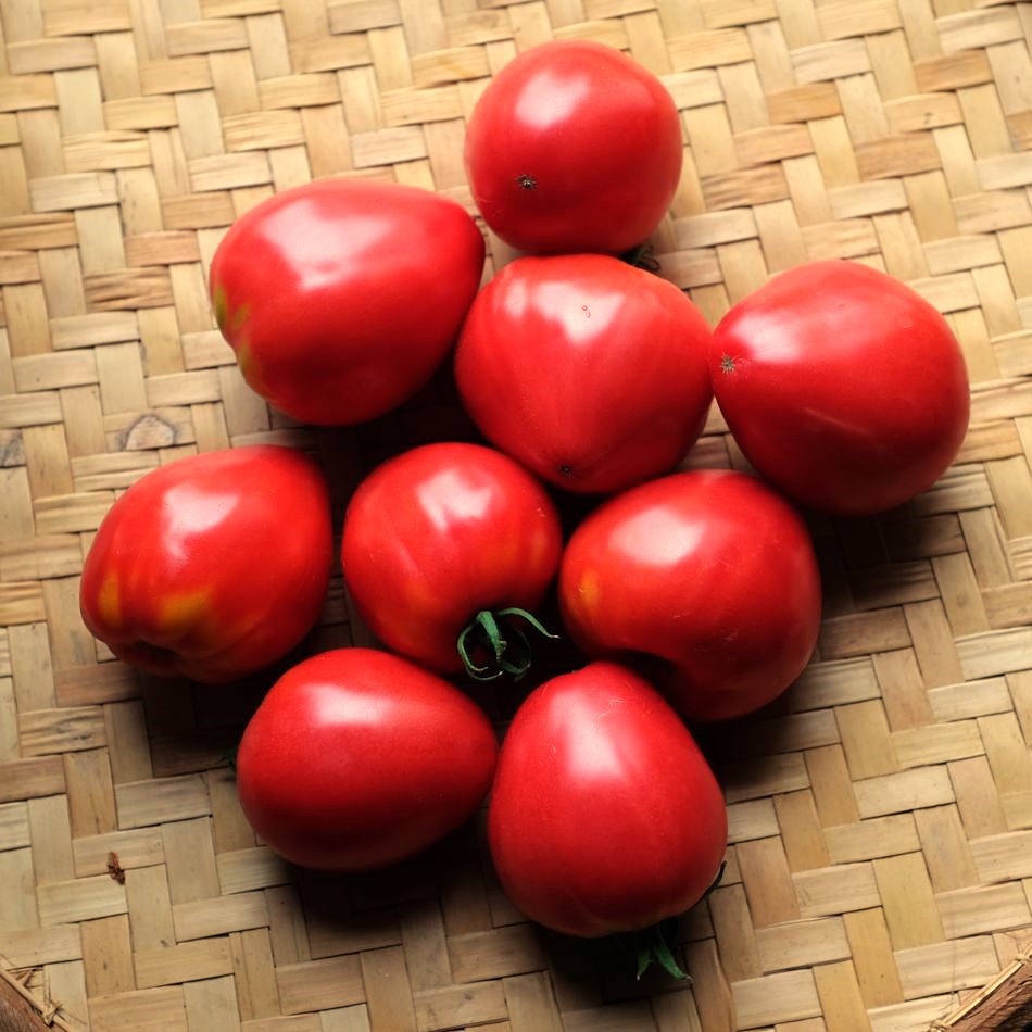 la-bo-te-graines-tomate-petite-coeur-de-boeuf-graines-bio-salade image 3