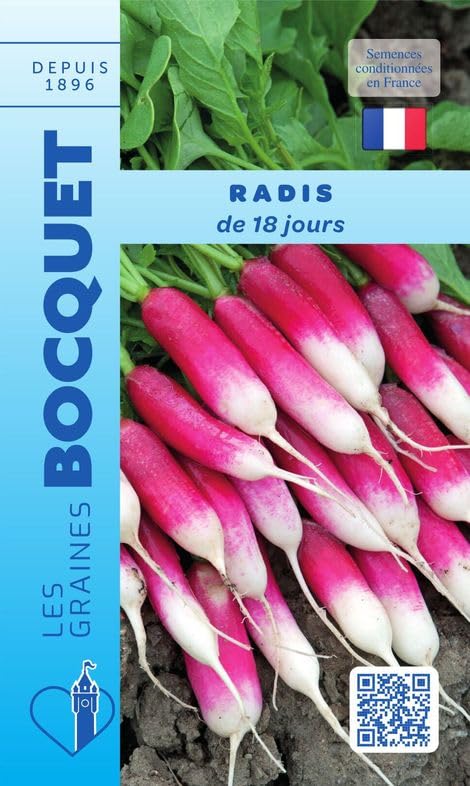 graines-bocquet-graines-potag-res-radis-demi-long-18-jours-graines-10-g image 1