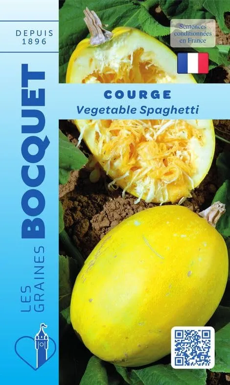 graines-bocquet-courge-vegetable-spaghetti-graines-3-g-ovale image 1