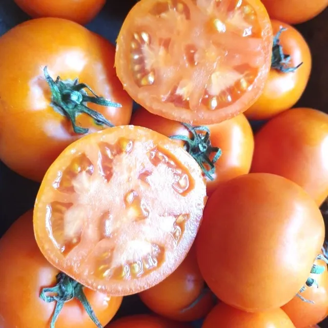 les-semences-de-l-ombelle-tomate-carotina-graines-bio-orange image 1