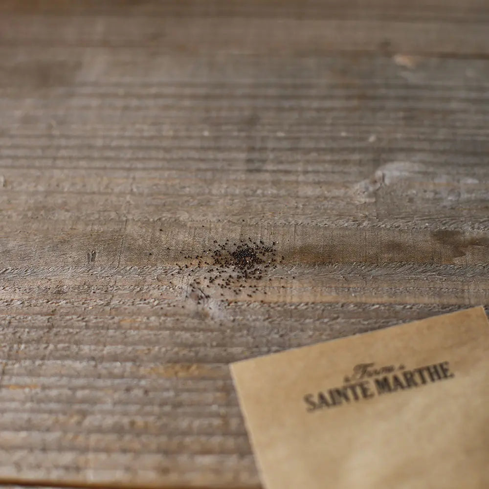 ferme-de-sainte-marthe-menthe-glaciale-montagnes-graines-bio-infusion image 2