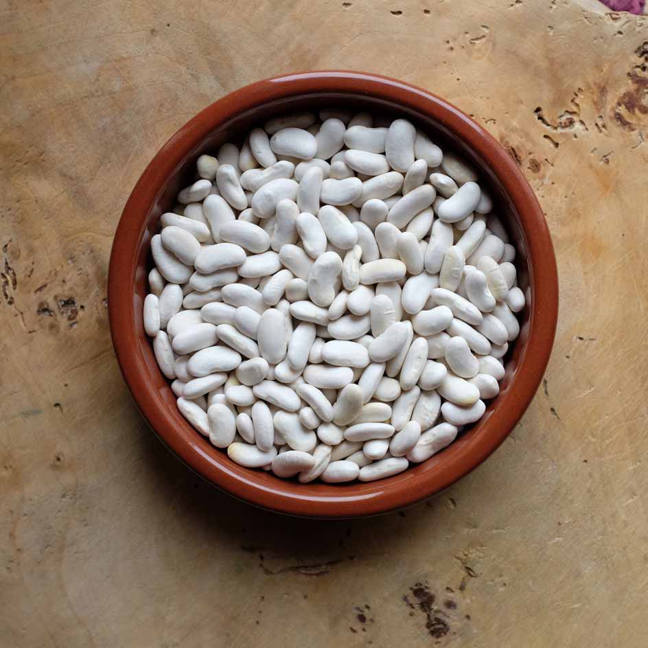 la-bo-te-graines-graines-l-gumes-ph-nom-ne-haricot-bio image 3