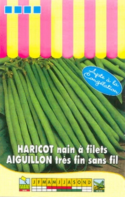 graines-bocquet-haricot-nain-aiguillon-filet-graines-100-g image 1