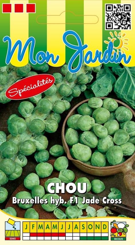 graines-bocquet-lunet-chou-bruxelles-graines-0-5g-f1 image 1