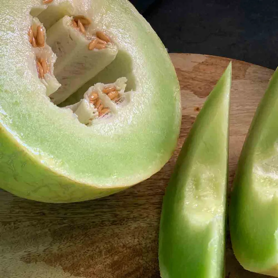 ferme-de-sainte-marthe-melon-honey-dew-graines-potag-res-bio-sachet-sucr image 1