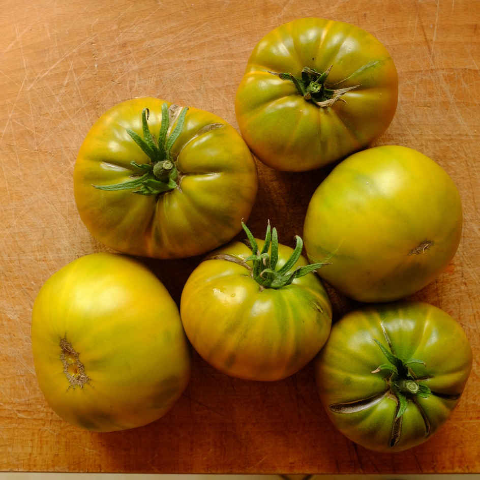 la-bo-te-graines-tomate-evergreen-graines-l-gumes-bio-verte image 4