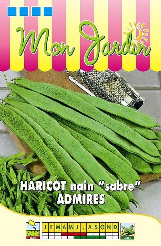 graines-bocquet-haricot-nain-sabre-admires-graines-potag-res-100-g image 1