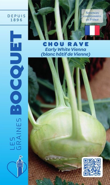 graines-bocquet-chou-rave-early-white-vienna-graines-3-g image 1