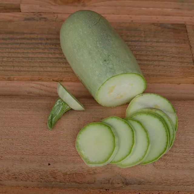 la-bo-te-graines-graines-l-gumes-courgette-blanche-d-egypte-bio-chair-ferme image 1