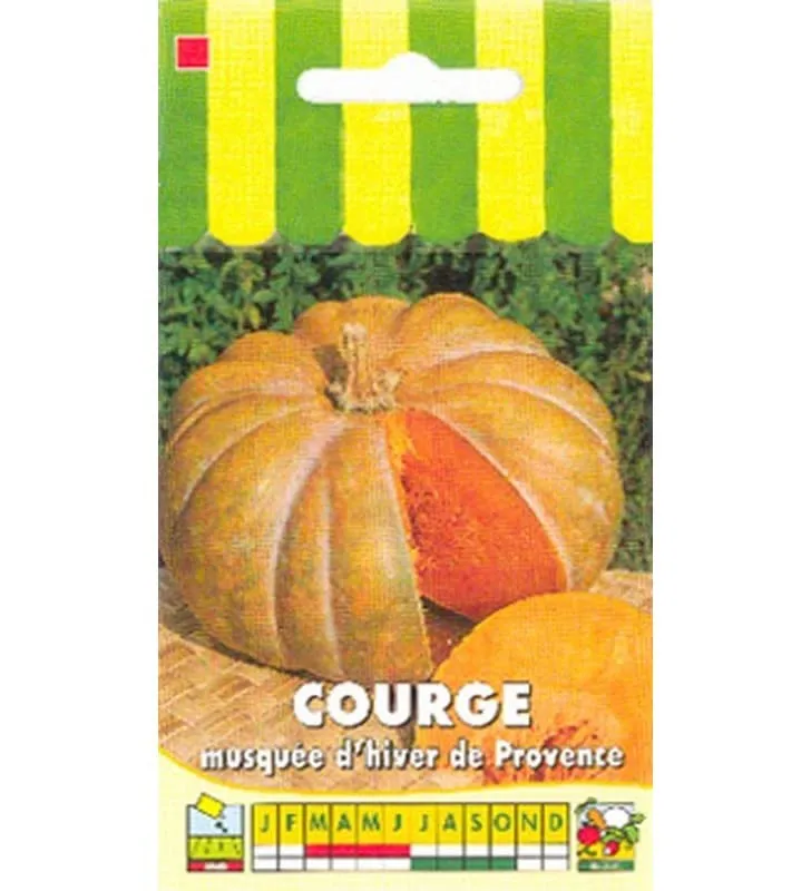 graines-bocquet-courge-musqu-e-provence-graines-3-g-fruit image 1