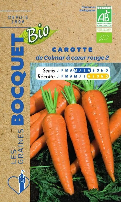 graines-bocquet-bio-carotte-colmar-c-ur-rouge-2-graines-2g image 1
