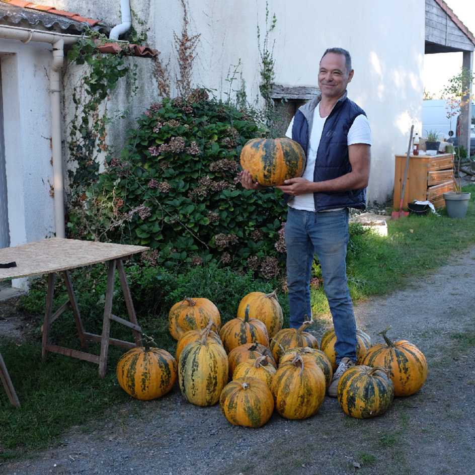 la-bo-te-graines-courge-lady-godiva-graines-bio-graines-nues image 4