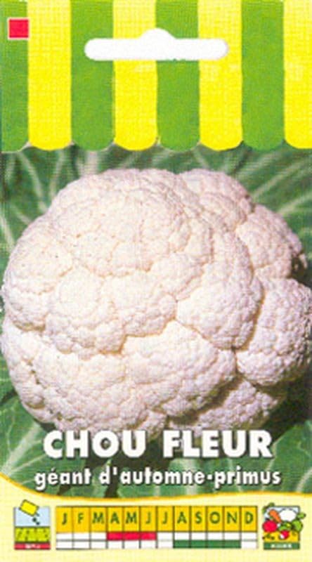 graines-bocquet-chou-fleur-g-ant-d-automne-primus-graines-1-g-blanc image 1