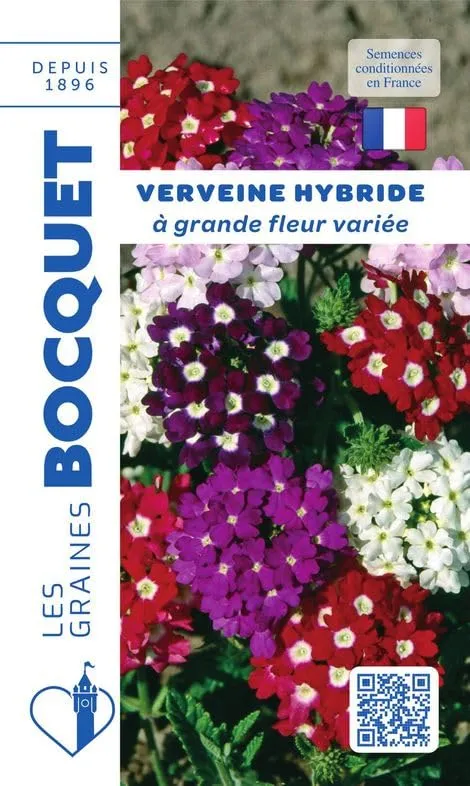 graines-bocquet-verveine-hyb-grande-fleur-vari-e-graines-fleurs-0-5-g image 1